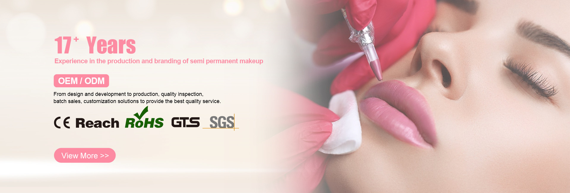 Qualität Dauerhafte Make-uptätowierungs-Ausrüstung Fabrik