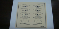 Eyeliner-formen dauerhaftes Make-uppraxis-Haut-Blatt Auflage 20.5cm x 15cm x 0.15cm