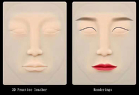 Gummipraxis-Materialien tätowieren die Augenbraue, die ledernes leeres dauerhaftes Make-up des Lippensilikon-3D für PMU-Training schnitzt