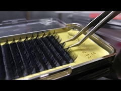 Natural Mink False Eyelashes