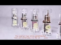 Dauerhaftes Make-uptätowierungs-Pigment